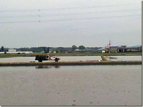2013042512480000