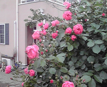 2011060116100000.jpg