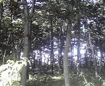 2011070516240000.jpg