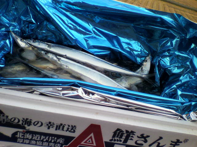 2011091416110000.jpg