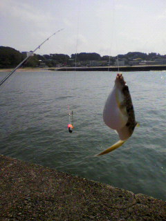 2012053014470000.jpg